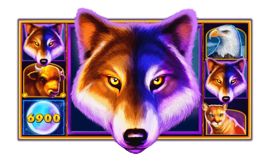 best slot games in india wolf of gold